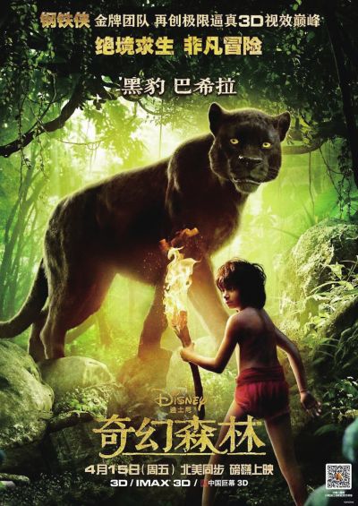 做个假的特种操作证
